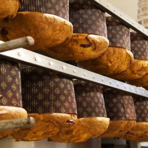 Panettone: رومن Fabio Albanesi نے پیسٹری شیفس کا ورلڈ کپ جیت لیا۔