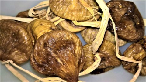 Fichi Secchi, farsene scorta per ricordare l’estate, per la salute e per buon auspicio