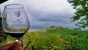 Calice di Barbera d'Asti