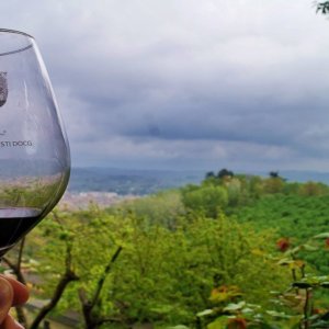 Vino: Giro del Nizza, una domenica a piedi in auto o bicicletta per trenta cantine di Barbera