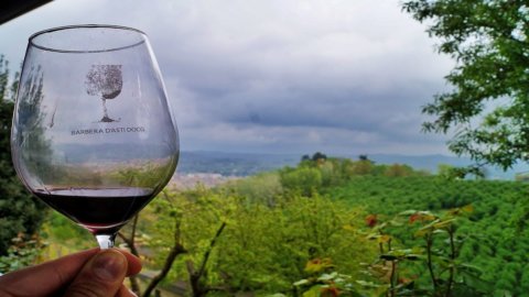 Vino: Giro del Nizza, una domenica a piedi in auto o bicicletta per trenta cantine di Barbera