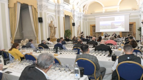 The Great Wine Brands talk about themselves in Rome with a masterclass aimed at the national trade