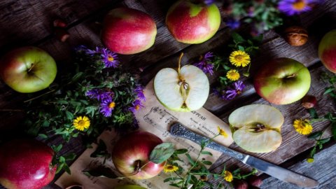 Äpfel: Italien ist Weltmarktführer und die Hälfte der Produktion geht ins Ausland