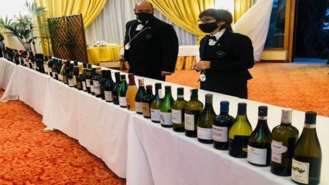 « Sud Top Wine » : Les meilleurs vins du sud de l'Italie récompensés par un jury international