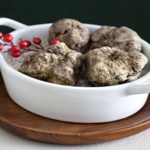 Truffle putih menikahi Dolcetto di Ovada Fair