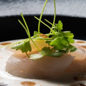 Receita do chef Giacomo Ignelzi: ceviche de vieiras entre a Itália e o Japão