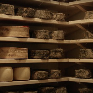 Fromage ivre : la rareté née de la ruse des paysans de la Première Guerre mondiale