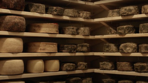 Formaggio ubriaco: la rarità nata dalla furbizia dei contadini  della prima guerra mondiale