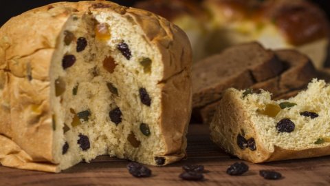 King Panettone en Milán y Nápoles: compiten los mejores panettone del norte y del sur