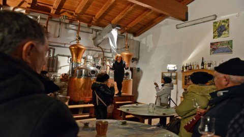 Noaptea alambicurilor aprinse: festivalul Trentino Grappa revine la Santa Massenza