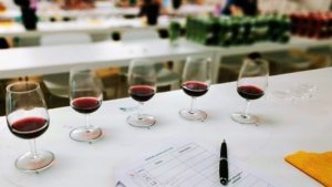 Degustazione vini