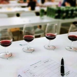 Vino: I migliori d’Italia premiati dalla Guida d’oro i vini di Veronelli