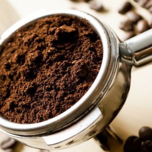 Funghi con i fondi del caffè: un’idea nata dall’arte del riciclo che fa pure bene