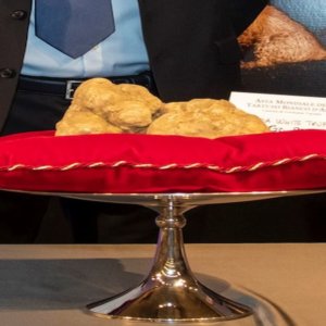 Un tartufo di Alba da 830 grammi a un imprenditore di Hong Kong per 103.000 euro