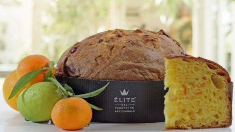 The Panettone d'Elite that combines the flavors of Italy: 75 leavened masters worked on it