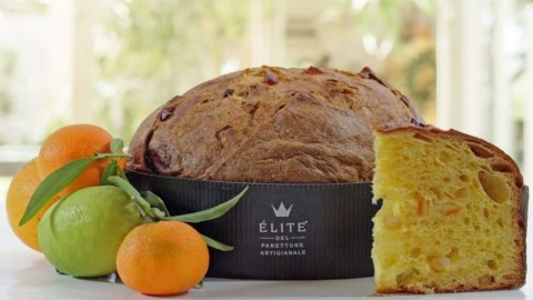 Panettone d'Elite care îmbină aromele Italiei: la el au lucrat 75 de maeștri dospiți