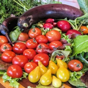 Der Süden fördert nachhaltige Lebensmittel