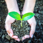 Clima e agricoltura sostenibile: Renaissance e Tpg acquisiscono il controllo di Sicit