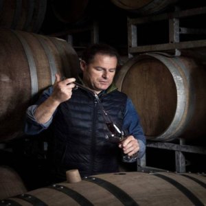 ワイン: Orlando Abrigo は Barbaresco で革新的な Nebbiolo のロゼ クローンを使用