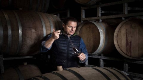 ワイン: Orlando Abrigo は Barbaresco で革新的な Nebbiolo のロゼ クローンを使用