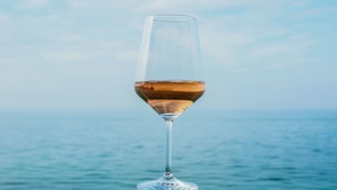 Vino: dos productores de Chiaretto di Bardolino se unen a la Asociación Rosés de Terroirs