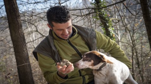 La cavatura del tartufo in Italia è patrimonio dell’umanità UNESCO