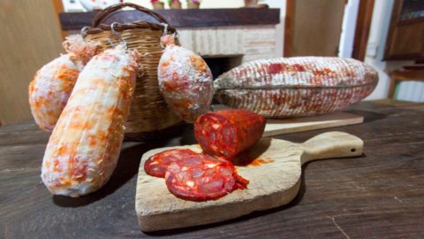 Salumi: La ventricina vastese, pregiata, saporita e di nobili carni, prodotto Slow Food