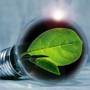 Energieeinsparung und Effizienz: Acea, Enea, Generali und Terna halten sich an "M'illumino di meno"