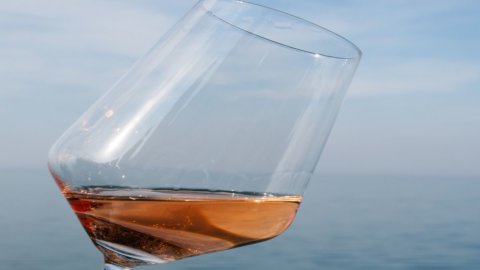 Wine: the preview of Chiaretto di Bardolino at the end of April on the Veronese side of Lake Garda