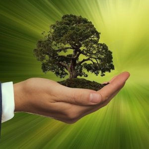 Esg Corporate Identity Index 2024: ecco la Top 10 delle aziende più attente alla sostenibilità