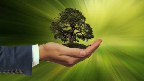 Il lavoro diventa verde: competenze ambientali richieste in 8 assunzioni su 10