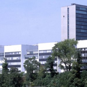 Roche: vânzările au crescut brusc datorită testelor Covid-19, dividendele cresc