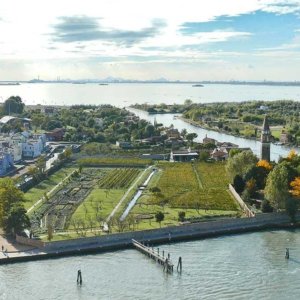 Les vignobles urbains sont présentés à l'Expo 2020 à Dubaï : un modèle italien pour la régénération des villes