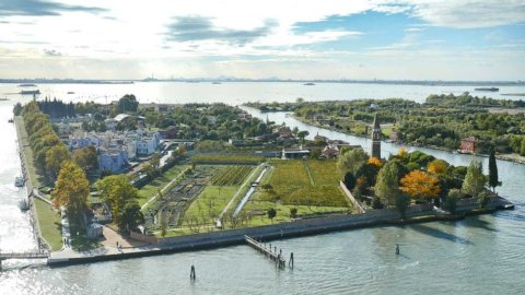 Los viñedos urbanos se presentan en la Expo 2020 de Dubái: un modelo italiano para la regeneración de las ciudades