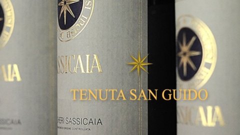 Vino: dieci rossi e cinque bianchi italiani al top in tutte le guide dell’anno