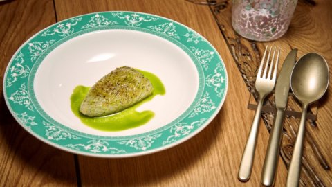 The recipe for cuttlefish alla peverada by chef Lorenzo Cogo, when instinct marries harmony