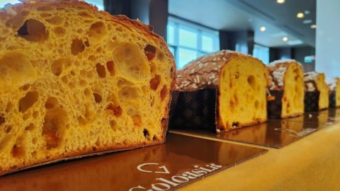 Divina Colomba: la migliore artigianale viene dalla Toscana, quella creativa è invece di Ariano Irpino