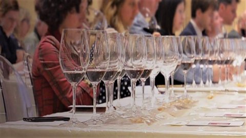 Vinum: The great wines of Piedmont are presented in Alba for three weekends