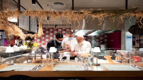 Ouverture de la Trattoria Vegetale au Marché Central de Turin : « Donnons une nouvelle dignité aux légumes »