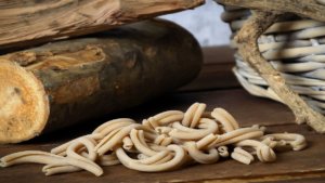 Pasta artigianale del oprogetto Pastalive