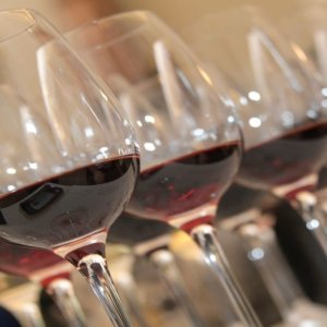 Anteprima VitignoItalia: il mondo del vino a confronto su enoturismo e mercati esteri