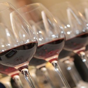 Vino, Istituto Grandi Marchi: l’eccellenza Made in Italy in tour mondiale, dopo il Canada si riprende dagli USA