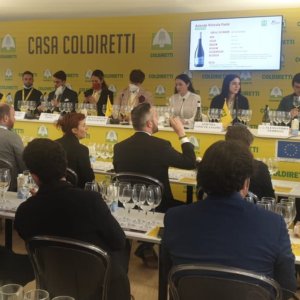 Vinitaly, молодые фермеры все больше внимания уделяют вину и качеству