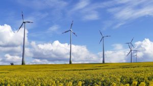 Energia green: campo eolico