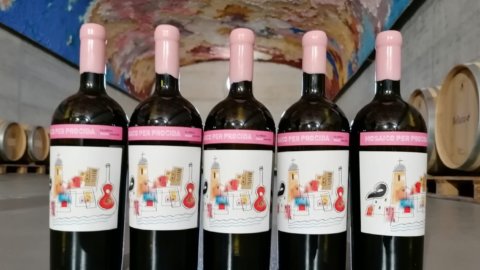 Mosaico: 26 cantine campane fanno rete per un vino di eccellenza che celebra Procida capitale della cultura