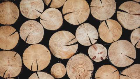 Il clima del legno. Una risorsa per la sostenibilità ambientale ed economica. Convegno dell’Unione Industriali Torino