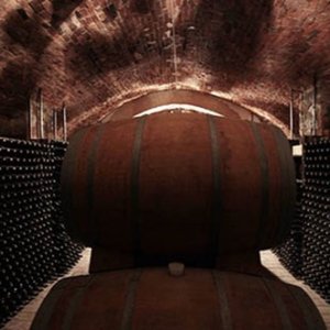 Rosso Morellino: appuntamento a Scansano con quaranta produttori del vino simbolo della Maremma toscana