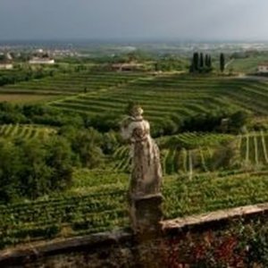 Cantine Aperte: 600 aprono agli enoturisti sabato 28 e domenica 29 maggio