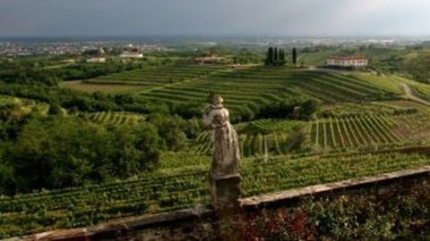 Cantine Aperte: 600 aprono agli enoturisti sabato 28 e domenica 29 maggio