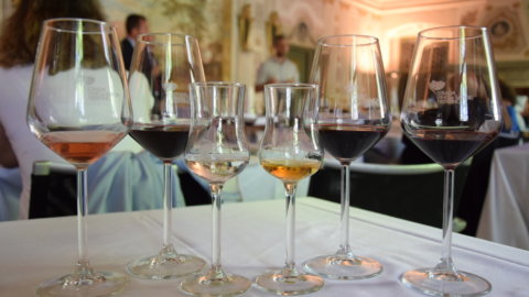 النبيذ: في كل تيرولديجو ، مايو من الانغماس الكامل مع أمير ترينتينو ريدز
